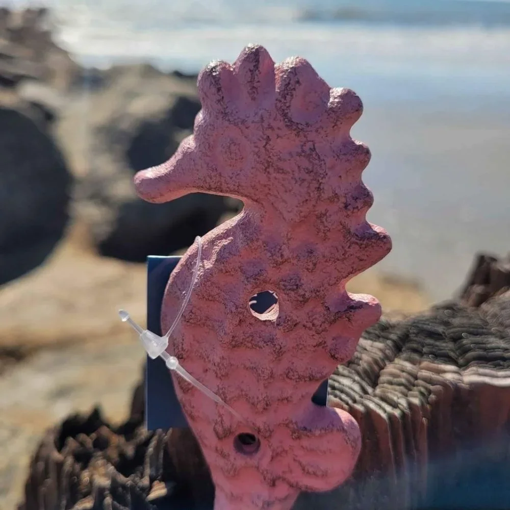 Cast Iron Seahorse Wall Hook Pink